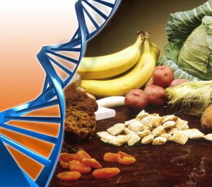 alimenti e dna