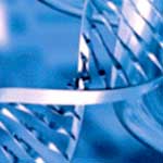 Nutri Genokit DNA - Test diagnostici di laboratorio