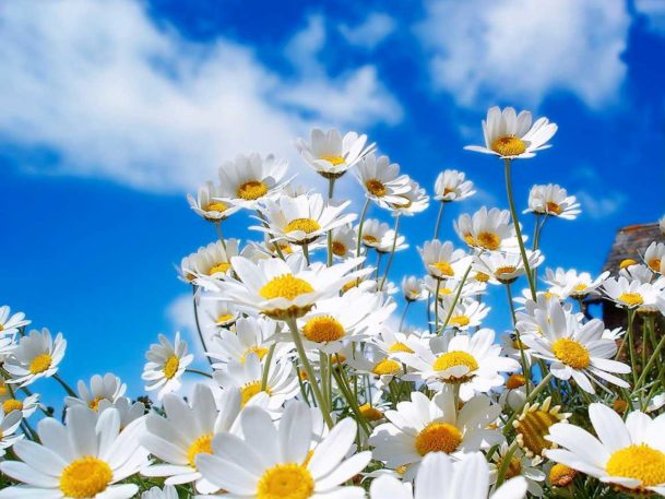 dieta da cambio di stagione primavera