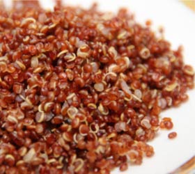 quinoa rossa
