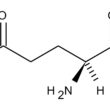 glutammina