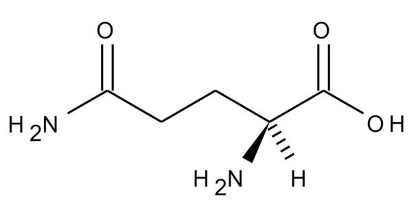 glutammina