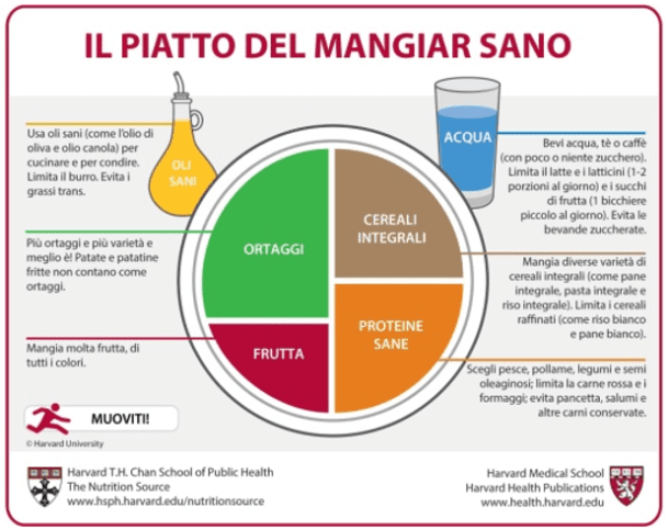 piatto di harvard