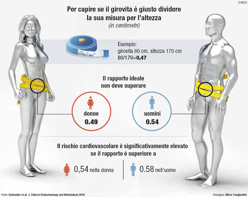 tessuto adiposo e girovita