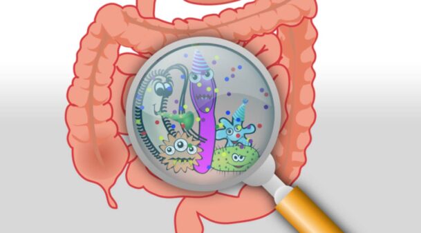microbiota intestinale o flora batterica